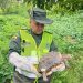 AUTORIDADES PROTEGEN LA VIDA SILVESTRE EN NARIÑO